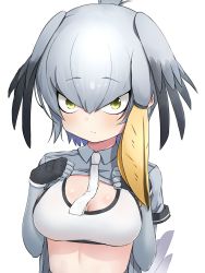 Rule 34 | 1girl, bird wings, black gloves, breasts, chibi, cleavage, clothes lift, collared shirt, deku suke, fingerless gloves, gloves, green eyes, grey hair, grey shirt, hair between eyes, head wings, highres, kemono friends, layered sleeves, lifting own clothes, long hair, long sleeves, looking at viewer, medium breasts, multicolored hair, necktie, orange hair, shirt, shirt lift, shoebill (kemono friends), short over long sleeves, short sleeves, sidelocks, simple background, solo, sports bra, stomach, underwear, upper body, white background, white necktie, wings