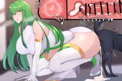 Rule 34 | 1boy, 1girl, all fours, ass-to-ass, bestiality, censored, clothed sex, cum, cum in pussy, dog, fire emblem, fire emblem echoes: shadows of valentia, green eyes, green hair, hetero, highres, huhuhu4949, impregnation, insemination, knocking, knotting, matching hair/eyes, nintendo, palla (fire emblem), sex, vaginal, x-ray