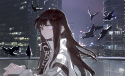 Rule 34 | 1girl, absurdres, animal, arm up, bird, black eyes, black hair, city, closed mouth, collar, collared jacket, commentary request, crow, from side, grey eyes, grey jacket, heterochromia, highres, iris yi, jacket, long hair, long sleeves, looking at viewer, night, original, outdoors, rooftop, solo