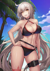 Rule 34 | 1girl, ahoge, beach, bikini, black bikini, black choker, blue sky, blush, breasts, choker, cleavage, collarbone, day, fate/grand order, fate (series), hand on own hip, highres, jeanne d&#039;arc alter (swimsuit berserker) (fate), jeanne d&#039;arc (fate), jeanne d&#039;arc alter (fate), jeanne d&#039;arc alter (swimsuit berserker) (fate), large breasts, long hair, looking at viewer, navel, o-ring, o-ring bikini, palm tree, qblade, red thighhighs, silver hair, single thighhigh, sky, smile, solo, sparkle, swimsuit, thigh strap, thighhighs, thighs, tree, very long hair, wet, yellow eyes