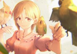 Rule 34 | 1girl, aiba yumi, animal, animal on shoulder, bird, bird on hand, bird on shoulder, blonde hair, blouse, brown eyes, collar, collarbone, commentary request, frilled collar, frilled sleeves, frills, holysnow, idolmaster, idolmaster cinderella girls, jewelry, necklace, parakeet, parrot, puffy short sleeves, puffy sleeves, shirt, short hair, short sleeves, simple background, smile, upper body