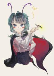 Rule 34 | 1girl, antennae, bike shorts, black cape, black shorts, blue shorts, breasts, bug, cape, collared shirt, fireflies, firefly, flat chest, green eyes, green hair, hand on own hip, high-waist pants, highres, insect, pants, red cape, riki6, shirt, short hair, short sleeves, shorts, simple background, small breasts, solo, touhou, two-sided cape, two-sided fabric, white background, white shirt, wriggle nightbug