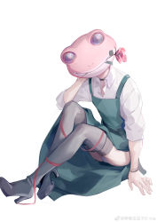 Rule 34 | 1other, absurdres, ambiguous gender, animal head, apron, warrior of light (ff14), black choker, black footwear, boots, bracelet, chinese commentary, choker, collarbone, commentary request, covered face, e-ma (pixiv6933729), elbow on knee, facing viewer, final fantasy, final fantasy xiv, flower, flower in mouth, frog mask, from side, full body, green apron, high heel boots, high heels, highres, jewelry, knees up, leaf, mask, mouth hold, panties, pantyshot, red flower, red ribbon, red rose, ribbon, rose, shirt, simple background, sitting, solo, thigh boots, underwear, weibo logo, weibo watermark, white background, white panties, white shirt