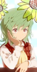 Rule 34 | 1girl, anime coloring, ascot, bad id, bad pixiv id, checkered background, child&#039;s drawing, collared shirt, flower, green hair, hand in own hair, helichrysum, highres, kazami yuuka, long sleeves, plaid, plaid vest, red eyes, shirt, short hair, solo, sunflower, touhou, vest, white shirt