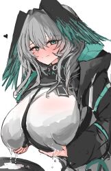Rule 34 | 1girl, absurdres, arknights, black jacket, black wings, blush, breasts, commentary request, green eyes, green wings, grey hair, hands on own breasts, head wings, highres, ho&#039;olheyak (arknights), huge breasts, jacket, lactation, lactation through clothes, long sleeves, looking back, medium hair, simple background, smile, solo, sunaneko, two-tone wings, white background, wings