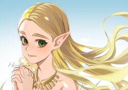 Rule 34 | 1girl, artist name, bare shoulders, blonde hair, closed mouth, green eyes, hirofujie, jewelry, long hair, looking at viewer, necklace, nintendo, parted bangs, pointy ears, princess zelda, simple background, smile, the legend of zelda, the legend of zelda: breath of the wild, upper body, very long hair
