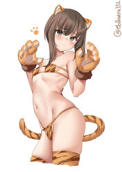 Rule 34 | 1girl, animal ears, animal print, blush, bra, brown hair, closed mouth, cowboy shot, ebifurya, flat chest, grey eyes, hands up, highres, kantai collection, looking at viewer, navel, orange thighhighs, panties, simple background, solo, taihou (kancolle), tail, thighhighs, thighs, tiger ears, tiger print, tiger tail, twitter username, underwear, white background