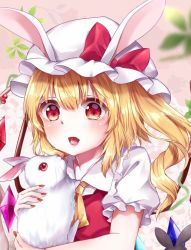 Rule 34 | 1girl, animal, animal ears, ascot, blonde hair, blurry, blurry foreground, blush, bow, collarbone, collared shirt, commentary request, eyes visible through hair, fake animal ears, fang, fingernails, flandre scarlet, floral background, frilled shirt collar, frilled sleeves, frills, gem, gradient eyes, hair between eyes, hat, holding, holding animal, leaf, light blush, long fingernails, looking at viewer, mob cap, multicolored eyes, nail polish, open mouth, pink background, puffy short sleeves, puffy sleeves, rabbit, rabbit ears, red bow, red eyes, red nails, red vest, shirt, short sleeves, side ponytail, solo, tareme, tongue, tongue out, touhou, upper body, vest, white hat, wings, yellow ascot, yuria (kittyluv)