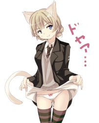 Rule 34 | 10s, 1girl, animal ears, bad id, bad pixiv id, blonde hair, blue eyes, bow, bow panties, braid, cat ears, cosplay, darjeeling (girls und panzer), girls und panzer, lynette bishop, lynette bishop (cosplay), multicolored clothes, multicolored legwear, nksk, panties, patterned legwear, single braid, smile, solo, strike witches, striped clothes, striped thighhighs, sweater vest, thigh gap, thighhighs, two-tone stripes, underwear, white background, white thighhighs, world witches series