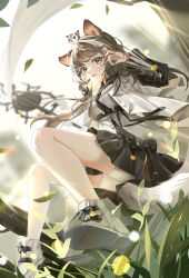 Rule 34 | 1girl, absurdres, animal, animal ears, animal on head, arknights, black dress, black ribbon, brown hair, commentary, dress, fingernails, floating hair, grass, green eyes, hair ribbon, hand in own hair, hand up, highres, holding, holding staff, honeyberry (arknights), honeyberry (wildness behind) (arknights), layered dress, long hair, long sleeves, looking at viewer, multicolored hair, official alternate costume, on head, parted lips, pdiga, ribbon, shoes, shorts, squirrel, squirrel ears, squirrel tail, staff, streaked hair, symbol-only commentary, tail, white dress, white footwear, white hair, white shorts