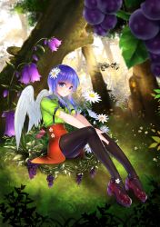 Rule 34 | 1girl, absurdres, against tree, bad id, bad pixiv id, between legs, black pantyhose, blue eyes, blue hair, brooch, closed mouth, commentary request, day, feathered wings, flower, food, fruit, full body, gradient hair, grape vine, grapes, green shirt, hair between eyes, hair flower, hair ornament, high-waist skirt, high heels, highres, jewelry, knees up, looking at viewer, multicolored hair, nature, original, outdoors, outstretched arms, own hands together, pantyhose, pink flower, purple flower, red footwear, red skirt, shirt, shirt tucked in, shoe flower, shoes, short hair with long locks, short sleeves, sidelocks, sideways glance, sitting, skirt, smile, solo, sunlight, suspender skirt, suspenders, tree, tree shade, white flower, white wings, wings, yuitanpo
