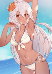 Rule 34 | 1girl, :o, arm up, armpits, bare arms, bare shoulders, bikini, blue sky, blush, breasts, cleavage, collarbone, commentary request, dark-skinned female, dark skin, day, flower, granblue fantasy, groin, hair between eyes, hair flower, hair ornament, hand up, highres, horizon, long hair, medium breasts, navel, ocean, open mouth, outdoors, parted lips, red eyes, red flower, revision, sky, solo, swimsuit, thigh gap, uneg, very long hair, water, water drop, wet, white bikini, white hair, zooey (granblue fantasy), zooey (summer) (granblue fantasy)