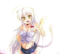 Rule 34 | 1girl, ahoge, animal ears, artist request, braid, breasts, bustier, cat ears, cat tail, cleavage, dog days, fang, flag, grin, leonmitchelli galette des rois, long hair, looking at viewer, medium breasts, midriff, navel, open mouth, short shorts, shorts, side braid, silver hair, smile, solo, tail, thong, very long hair, yellow eyes