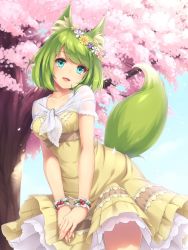 Rule 34 | 1girl, :d, animal ear fluff, animal ears, blue eyes, blush, capelet, cherry blossoms, daisy, day, dress, flower, fox ears, fox tail, green fox (sasaame), green hair, head tilt, head wreath, looking at viewer, open mouth, original, outdoors, own hands together, pink flower, purple flower, sasaame, short hair, smile, solo, standing, tail, tree, white capelet, white flower, wristband, yellow dress, yellow flower