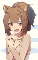 Rule 34 | 1girl, animal ears, blunt bangs, blush, breasts, brown hair, completely nude, covering privates, covering breasts, hair up, kakura mina, long hair, looking at viewer, medium breasts, nose blush, nude, open mouth, purple eyes, raccoon ears, raccoon girl, raphtalia, solo, tate no yuusha no nariagari, tattoo, tears, upset, wavy mouth
