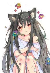 Rule 34 | 1girl, ahoge, animal ear fluff, animal ears, bare shoulders, black hair, blouse, blue dress, blue flower, blue shirt, blush, bruise, closed mouth, collarbone, commentary request, cuts, dress, flower, hair between eyes, hair flower, hair ornament, head tilt, highres, injury, knees up, light smile, long hair, looking at viewer, mito (go!go!king!), off-shoulder dress, off shoulder, original, purple flower, red eyes, shirt, short sleeves, simple background, sitting, solo, tail, very long hair, white background, wolf ears, wolf girl, wolf tail