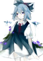 Rule 34 | 1girl, absurdres, blue bow, blue dress, blue hair, bow, cirno, collared shirt, cowboy shot, detached wings, dress, flower, frilled sleeves, frills, hair between eyes, hair bow, highres, ice, ice wings, leaf, medium hair, melting, melting wings, neck ribbon, open mouth, pinafore dress, puffy short sleeves, puffy sleeves, purple eyes, purple flower, red ribbon, ribbon, shirt, short sleeves, simple background, sleeveless, sleeveless dress, solo, touhou, white background, white shirt, wings, zhixie jiaobu