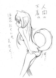 Rule 34 | 00s, animal ears, greyscale, holo, monochrome, panties, sketch, solo, spice and wolf, tail, translation request, underwear, wolf ears, wolf tail