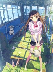 Rule 34 | 1girl, absurdres, bad id, bad pixiv id, bare legs, barefoot, blue sky, blush, braid, brown eyes, brown hair, chair, checkered clothes, checkered skirt, cloud, cloudy sky, day, derivative work, dog, feet, flower, grass, hand grip, highres, holding, kiriko (araragikoyomi), long hair, looking at viewer, moss, neck ribbon, ocean, parted lips, pink shirt, plant, pleated skirt, ribbon, school uniform, shirt, skirt, sky, sleeves rolled up, solo, standing, summer, train interior, watering can, white shirt, window, wooden floor