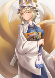 Rule 34 | 1girl, blonde hair, book, female focus, fox tail, hat, highres, multiple tails, ofuda, pouch, scroll, short hair, smirk, solo, tail, touhou, vol.7, yakumo ran, yellow eyes