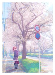 Rule 34 | 154 tkn, 1girl, bag, black socks, blush, cherry blossoms, from behind, full body, highres, holding, holding bag, idolmaster, idolmaster cinderella girls, igarashi kyoko, jacket, kneehighs, looking at viewer, looking back, open clothes, open jacket, outdoors, pleated skirt, road sign, school uniform, side ponytail, sign, skirt, smile, socks, solo, tree, utility pole, vanishing point