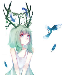Rule 34 | 1girl, antlers, bird, blue eyes, blue feathers, dress, eye contact, feathers, green hair, gumi, highres, horns, itsumi (izumi), izumi4195202, leaf, looking at another, looking away, plant, simple background, solo, vines, vocaloid, white background, white dress