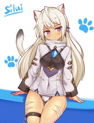Rule 34 | 1girl, animal ears, breasts, cat ears, cat girl, cat tail, character name, closed mouth, commentary, cougar (cougar1404), facial mark, grey jacket, grey panties, hairband, jacket, light frown, long hair, looking at viewer, medium breasts, original, panties, paw print, purple eyes, silui (cougar1404), sitting, solo, tail, tan, thigh gap, thigh strap, underwear, whisker markings, white hairband