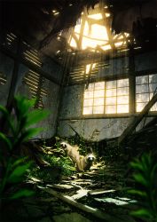 Rule 34 | animal, blurry, blurry foreground, broken, commentary request, day, depth of field, highres, indoors, light particles, mocha (cotton), original, ruins, scenery, sunlight, tanuki, window