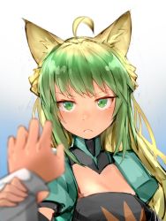 Rule 34 | &gt;:&lt;, 1girl, :&lt;, ahoge, animal ears, atalanta (fate), blonde hair, blue background, blurry, blush, cat ears, closed mouth, commentary request, depth of field, fate/apocrypha, fate (series), gradient background, green eyes, green hair, hand grab, long hair, looking at viewer, multicolored hair, pooosong, solo focus, two-tone hair, v-shaped eyebrows