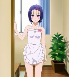 Rule 34 | 10s, 1girl, apron, blue eyes, blue hair, blush, hair ornament, hairclip, highres, ig port, indoors, looking at viewer, matching hair/eyes, naked apron, sairenji haruna, screencap, short hair, smile, solo, standing, thighs, to love-ru, to love-ru darkness, xebec