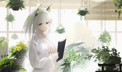 Rule 34 | 1girl, arknights, window blinds, blouse, breasts, clipboard, collared shirt, dress shirt, earpiece, flower, green eyes, grey hair, hanging plant, highres, holding, holding clipboard, indoors, kal&#039;tsit (arknights), large breasts, long sleeves, looking at viewer, naked shirt, navel, omone hokoma agm, open clothes, open shirt, plant, potted plant, shirt, short hair, sideboob, solo, white shirt, window, yellow flower