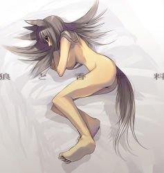 Rule 34 | 00s, 1girl, amamiya ten&#039;ya, animal ears, barefoot, brown hair, holo, long hair, lying, nude, on side, red eyes, solo, spice and wolf, tail, wolf ears, wolf tail