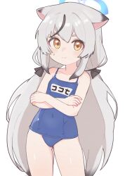 Rule 34 | 1girl, absurdres, animal ears, bare arms, bare legs, bare shoulders, blue archive, blue halo, blue one-piece swimsuit, blush, closed mouth, collarbone, commentary, cowboy shot, english commentary, flat chest, grey hair, halo, highres, kokona (blue archive), lk149, long hair, looking at viewer, name tag, one-piece swimsuit, school swimsuit, solo, swimsuit, tiger ears, yellow eyes