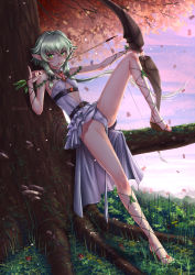 Rule 34 | 10s, 1girl, adsouto, arrow (projectile), artist name, autumn leaves, belt, blush, bow, breasts, center opening, day, dress, elf, frills, goblin slayer!, green eyes, green hair, high elf archer (goblin slayer!), highres, holding, holding weapon, licking, licking weapon, long hair, looking at viewer, pelvic curtain, platform footwear, pointy ears, sandals, short hair with long locks, sitting, small breasts, solo, tree, weapon, white dress