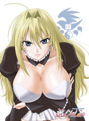 Rule 34 | 00s, 1girl, blonde hair, blue eyes, breast hold, breasts, cleavage, large breasts, long hair, misnon the great, sekirei, solo, tsukiumi