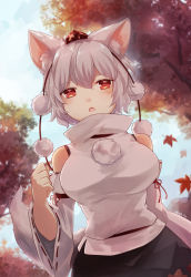 Rule 34 | 1girl, animal ears, bare shoulders, black skirt, blue sky, detached sleeves, inubashiri momiji, koto (shiberia39), leaf, looking at viewer, maple leaf, open mouth, outdoors, petals, red eyes, shirt, short hair, skirt, sky, solo, tail, touhou, tree, white hair, white shirt, white sleeves, wolf ears, wolf girl, wolf tail