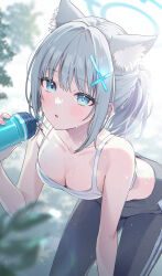 Rule 34 | 1girl, absurdres, animal ear fluff, animal ears, black pants, blue archive, blue eyes, blue halo, blush, bottle, breasts, cleavage, collarbone, cross hair ornament, extra ears, grey hair, hair ornament, halo, highres, holding, holding bottle, looking at viewer, medium breasts, medium hair, mismatched pupils, momomoi momoi, pants, parted lips, shiroko (blue archive), solo, sports bra, sweat, white sports bra, wolf ears