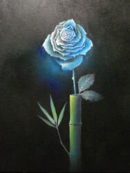 Rule 34 | bamboo, black background, blue flower, blue rose, flower, mitzoka2001, no humans, original, painting (medium), pastel (medium), rose, traditional media