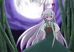 Rule 34 | 1girl, bamboo, bamboo forest, ex-keine, female focus, forest, horn ornament, horn ribbon, horns, kamishirasawa keine, kurousou, long hair, moon, nature, night, night sky, red eyes, ribbon, silver hair, sky, solo, touhou, very long hair