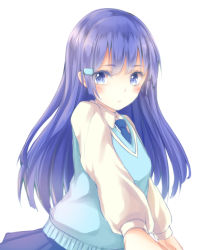 Rule 34 | 1girl, aoki reika, blue eyes, blue hair, blue necktie, blue skirt, blue vest, blush, breasts, closed mouth, collared shirt, commentary request, expressionless, hair ornament, hairclip, kashiwagi chisame, long hair, long sleeves, looking to the side, medium breasts, necktie, pleated skirt, precure, puffy sleeves, shirt, simple background, skirt, smile precure!, solo, upper body, vest, white background, white shirt