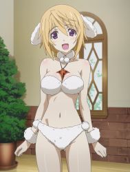 Rule 34 | 10s, 1girl, animal ears, blonde hair, breasts, brown hair, charlotte dunois, cleavage, costume, cowboy shot, dog ears, highres, indoors, infinite stratos, plant, poodle, purple eyes, screencap, short hair, stitched, third-party edit, window