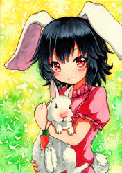 Rule 34 | 1girl, animal, animal ears, bad id, bad pixiv id, black hair, blush stickers, carrot necklace, closed mouth, holding, holding animal, inaba tewi, jewelry, looking at viewer, necklace, puffy short sleeves, puffy sleeves, qqqrinkappp, rabbit, rabbit ears, rabbit tail, red eyes, sample watermark, short hair, short sleeves, smile, tail, touhou, traditional media, watermark