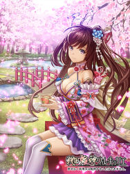 Rule 34 | 1girl, breasts, bridge, brown hair, cherry blossoms, cleavage, cup, day, floral print, flower, frills, grass, hair flower, hair ornament, hair stick, holding, holding cup, kome (okome-smile), large breasts, long hair, official art, outdoors, path, pond, purple eyes, road, sengoku kishin valkyrie, sitting, smile, solo, stone lantern, thighhighs, water, white thighhighs