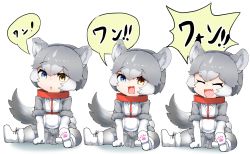 Rule 34 | 100maru, 3girls, aged down, animal ears, blue eyes, boots, collar, commentary request, dog (mixed breed) (kemono friends), dog ears, dog girl, dog tail, elbow gloves, closed eyes, fang, fur trim, gloves, grey fur, grey hair, grey jacket, grey legwear, grey skirt, harness, heterochromia, highres, jacket, kemono friends, multicolored hair, multiple girls, open mouth, pantyhose, paw print soles, pleated skirt, red collar, short hair, short sleeves, sitting, skirt, sweater, tail, translated, triangle mouth, white gloves, white hair, white sweater, yellow eyes