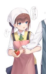 Rule 34 | 1girl, 1other, adjusting another&#039;s clothes, apron, blue eyes, blush, braid, brown hair, collared shirt, commentary request, cowboy shot, flying sweatdrops, food, green ribbon, head scarf, highres, holding, holding food, holding vegetable, long hair, looking at another, na-ga, neck ribbon, open mouth, original, out of frame, pink apron, ribbon, shirt, simple background, skirt, sleeves rolled up, solo focus, speech bubble, standing, sweater vest, thought bubble, tomato, translated, twintails, vegetable, white background, white shirt, yellow sweater vest