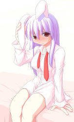 Rule 34 | 1girl, animal ears, arm support, blush, bottomless, breasts, dress shirt, embarrassed, female focus, frown, full-face blush, hand on own ear, kurikara, long hair, looking at viewer, necktie, on bed, purple hair, rabbit ears, red eyes, red necktie, reisen udongein inaba, shirt, simple background, sitting, solo, touhou, undone necktie, wavy mouth, white background