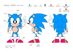 Rule 34 | character profile, character sheet, multiple views, official art, sega, sonic (series), sonic the hedgehog, turnaround