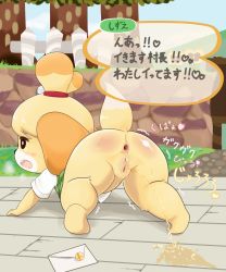 Rule 34 | !, !!, 1girl, all fours, animal crossing, animal ears, anus, ass, black eyes, blush stickers, bottomless, breath, cleft of venus, closed mouth, cloud, day, dog ears, dog tail, female focus, fence, flower, full body, gaping, heart, highres, isabelle (animal crossing), letter, nintendo, no humans, no panties, open mouth, outdoors, peeing, profile, pussy, sake kemosalmon, shirt, short sleeves, sky, smash ball, solo, spanked, tail, teeth, topknot, translation request, tree, trembling, uncensored, upper teeth only, vest, white shirt, white sleeves, wooden floor