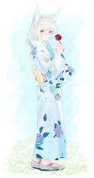 Rule 34 | 1girl, animal ears, aqua hair, braid, candy apple, closed mouth, commentary request, fishofthelakes, floral print, food, full body, gradient hair, grey hair, hair over shoulder, highres, holding, holding food, japanese clothes, kimono, looking at viewer, multicolored hair, obi, orange eyes, original, sandals, sash, simple background, single braid, solo, standing, wide sleeves, yukata, zouri