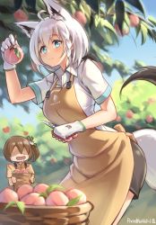 Rule 34 | 2girls, absurdres, ahoge, alternate costume, animal ears, animal print, apron, basket, bilibili xiaolu, black shorts, blue eyes, blue sky, blurry, blurry background, blush, braid, breasts, brown hair, buttons, cat print, chibi, closed mouth, collared shirt, cowboy shot, day, drooling, ear piercing, earrings, food, fox ears, fox tail, fruit, gloves, hair ribbon, heart, highres, hololive, jewelry, large breasts, leaning forward, looking at viewer, multiple girls, natsuiro matsuri, no eyes, orange apron, orange shirt, outdoors, peach, picking fruit, piercing, pixiv username, ribbon, saliva, scissors, shaded face, shears, shirakami fubuki, shirt, short hair, short shorts, short sleeves, shorts, side braid, side ponytail, sky, solo focus, standing, suspenders, tail, thighs, tree, virtual youtuber, white gloves, white hair, white shirt, yuri